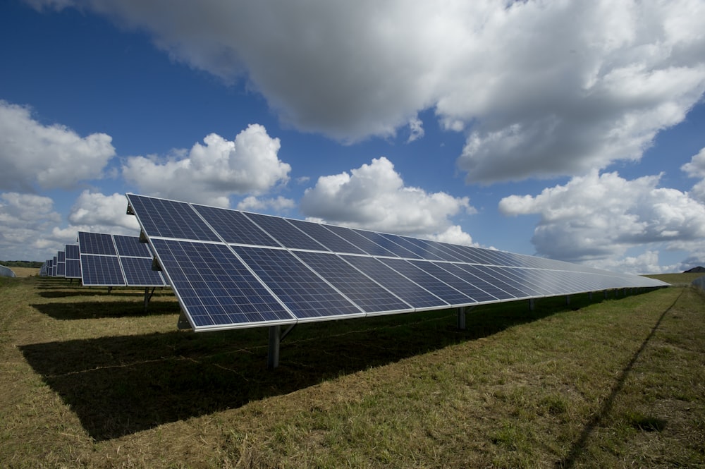 Climate Change Solutions for the Modern World