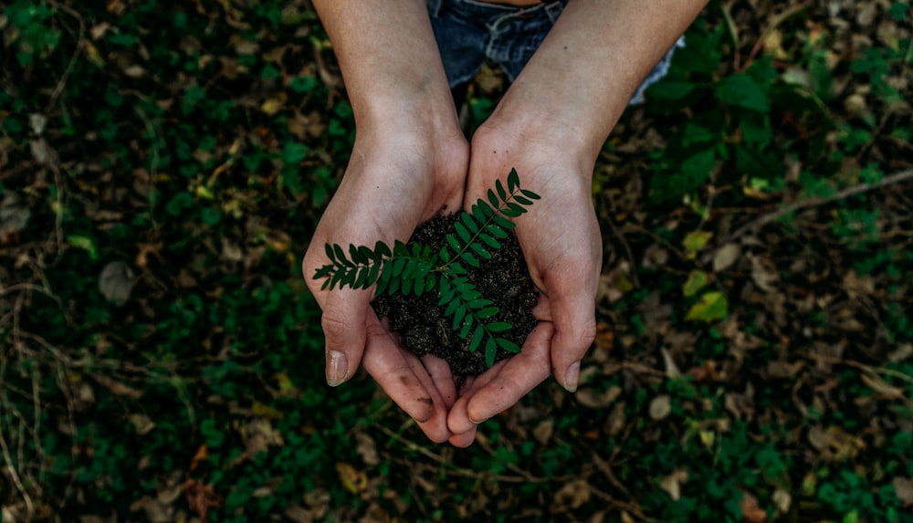 10 Simple Tips for Sustainable Living